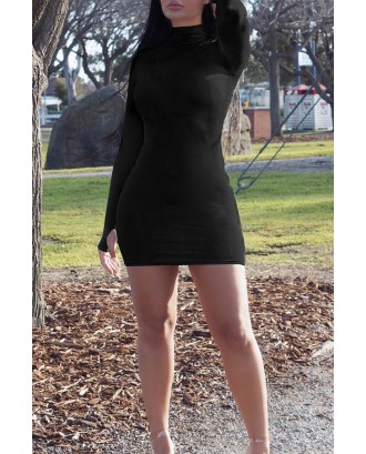 Lovely Casual Turtleneck Skinny Black Mini Dress
