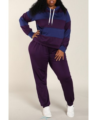 Lovely Casual Patchwork Purple Plus Size Two-piece Pants Set